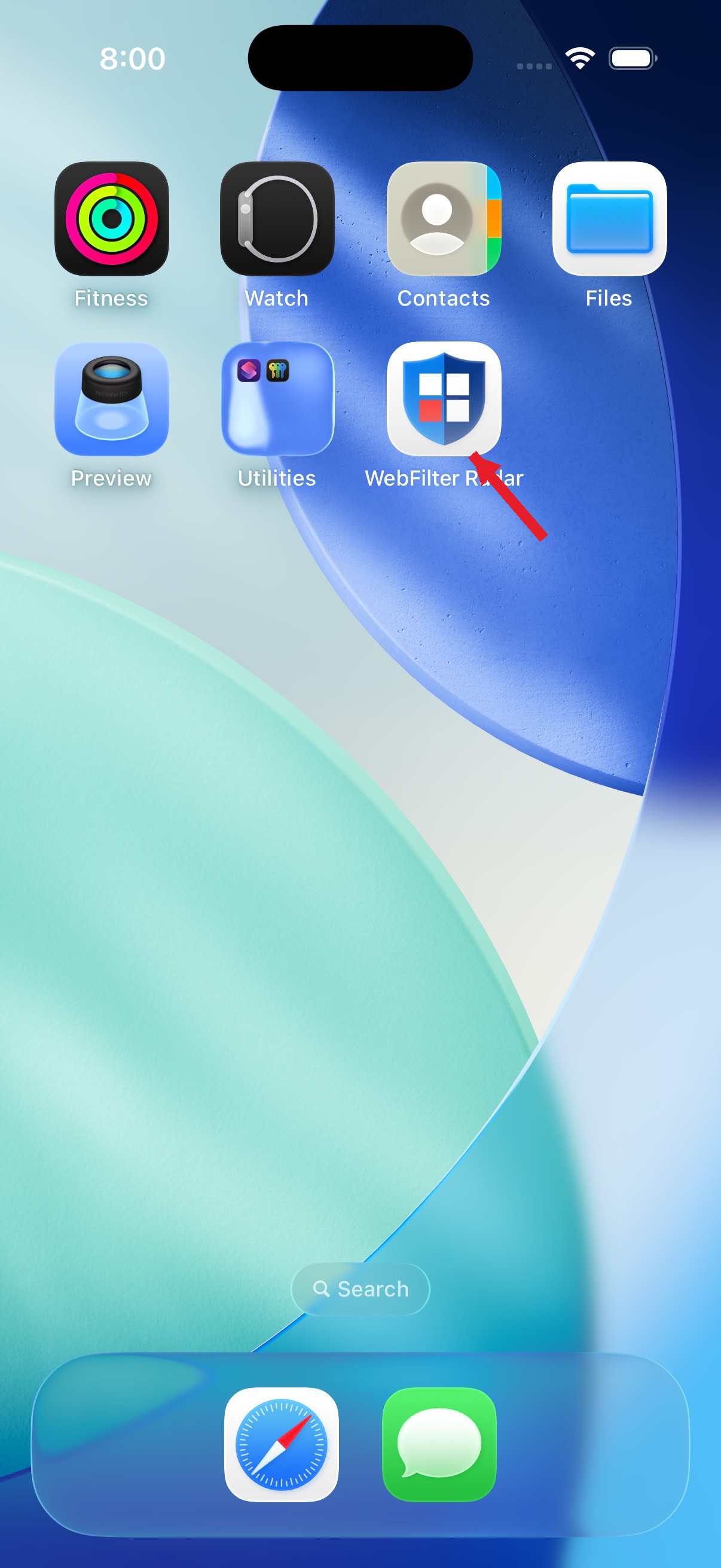 WebFilter Radar app icon on the iOS home screen
